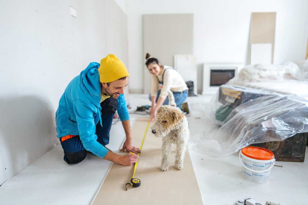 Couple is renovating their home with new walls and flooring with dog